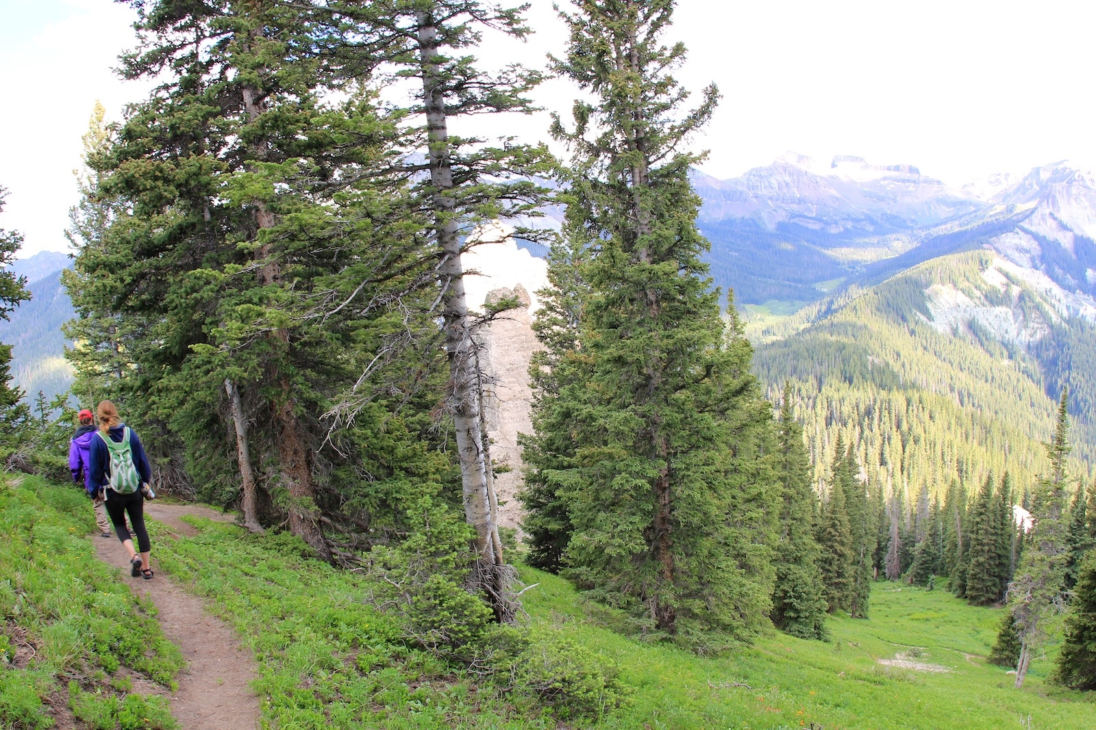 Courthouse Trail 218 Uncompahgre National Forest Ouray CO