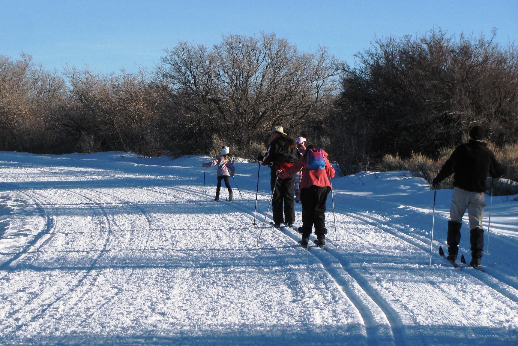 image of cross country skiing