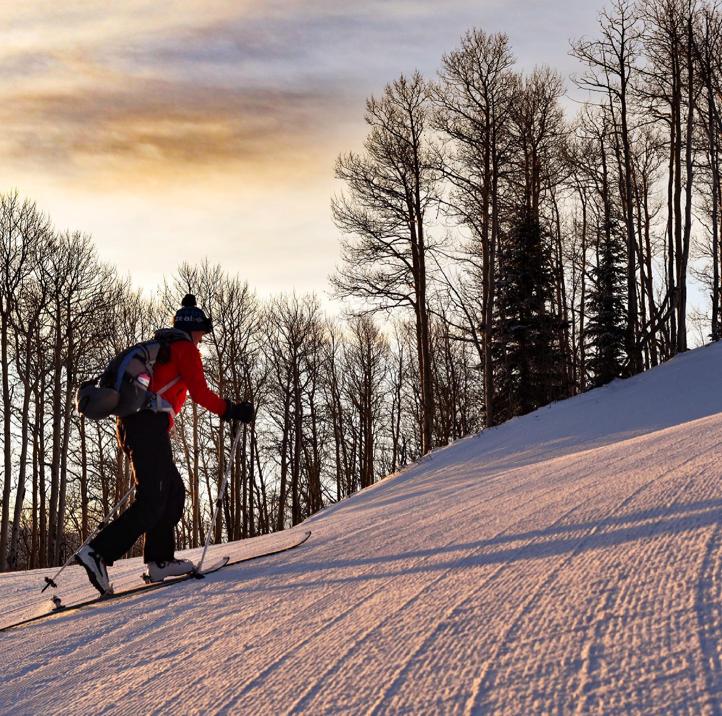 image of cross country skiing