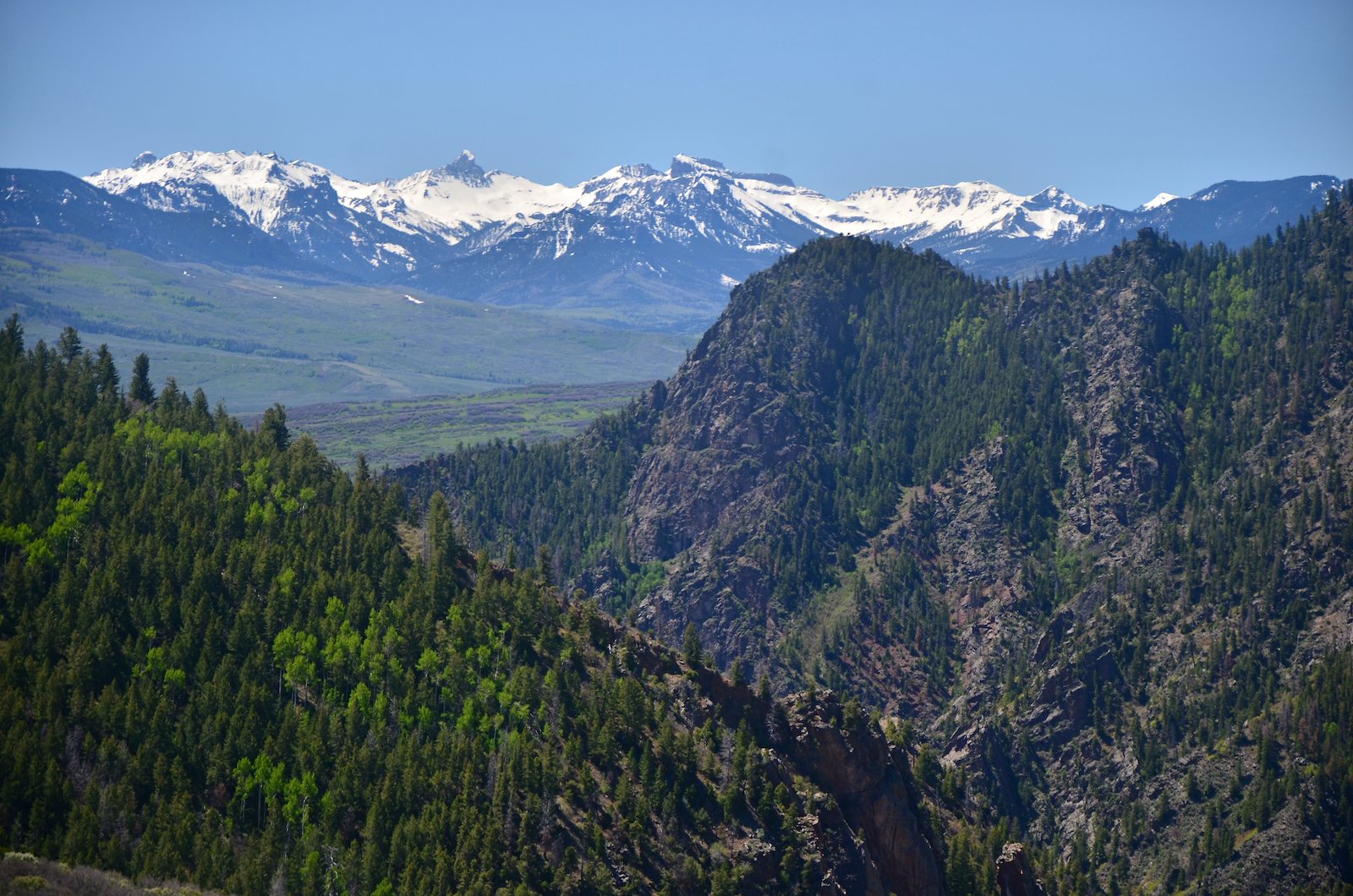 Crystal Creek Trail Curecanti NRA Montrose CO