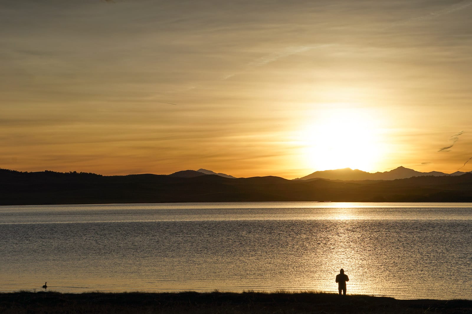 Eleven Mile Reservoir Fishing Colorado