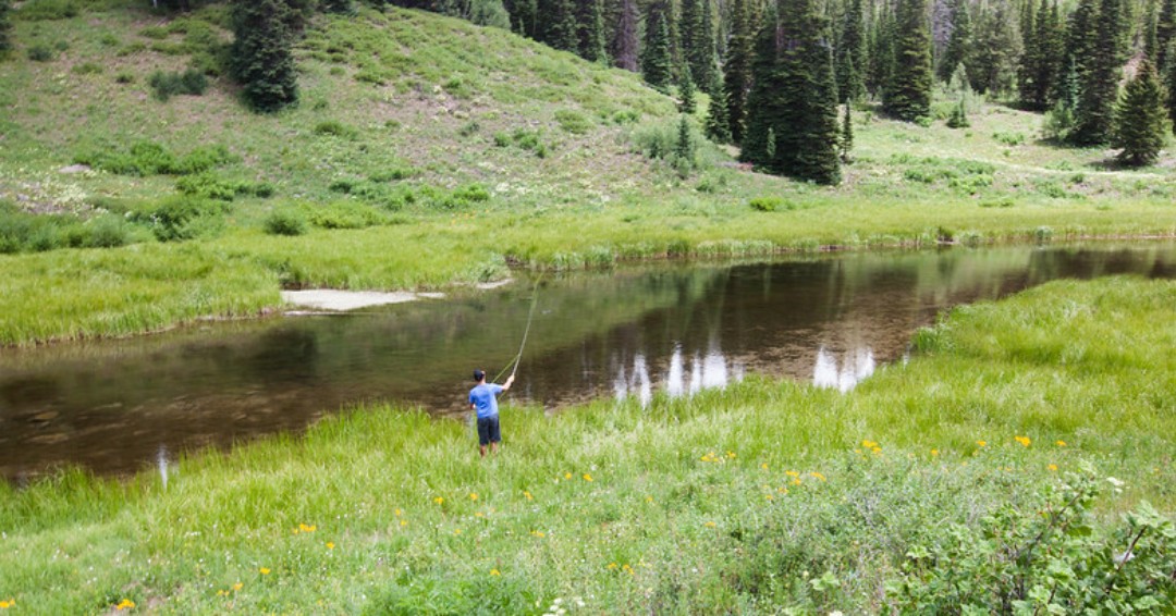 gambar memancing di sungai colorado