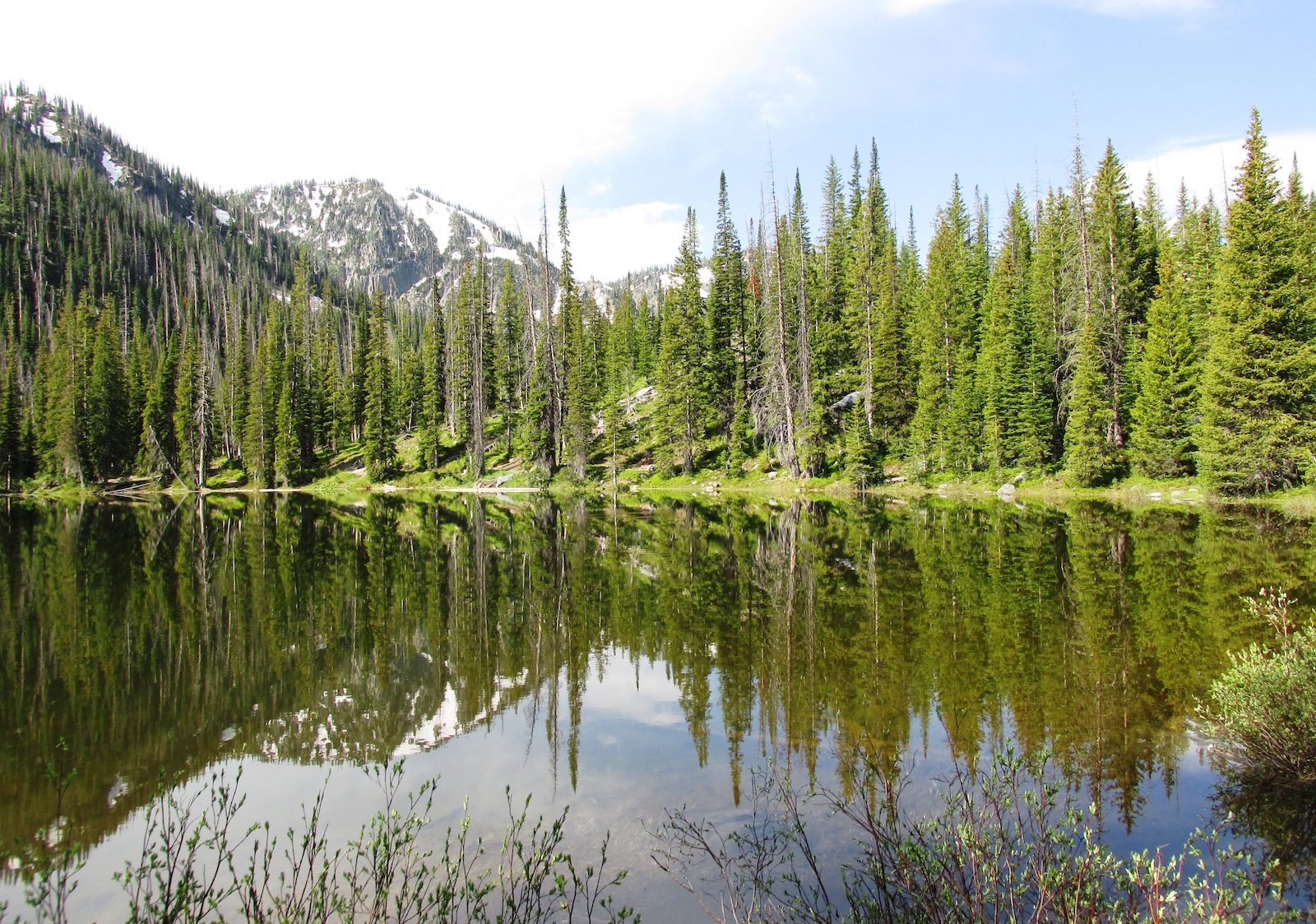 Gold Creek Lake Routt National Forest