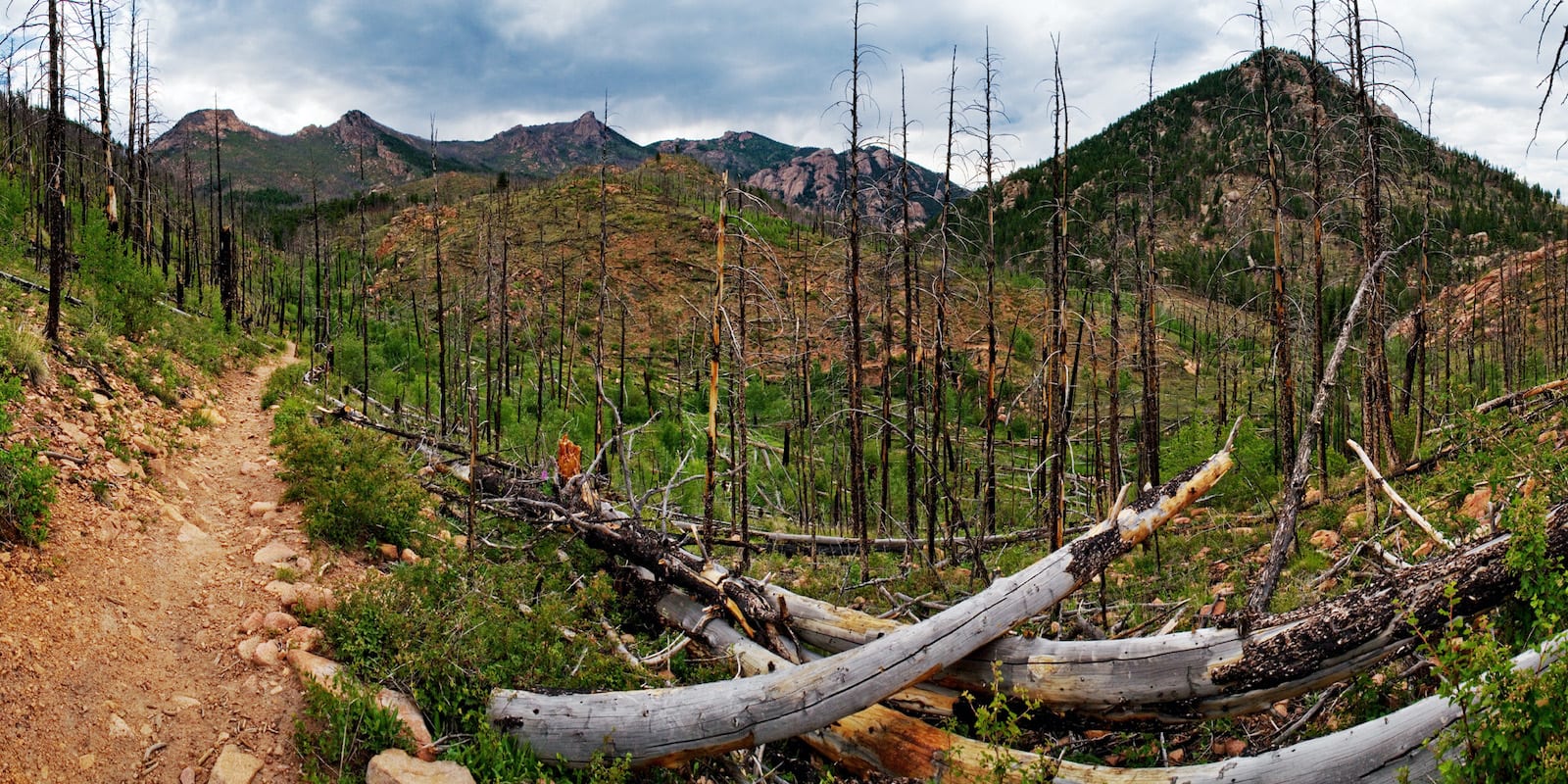 Hiking Goose Creek Trail Jefferson County Colorado