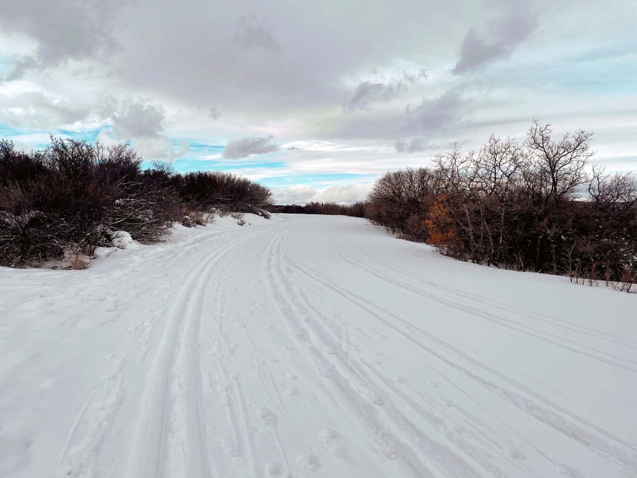 image of south rim road at black canyon