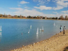 Image of the Harper Lake in Louisville, Colorado