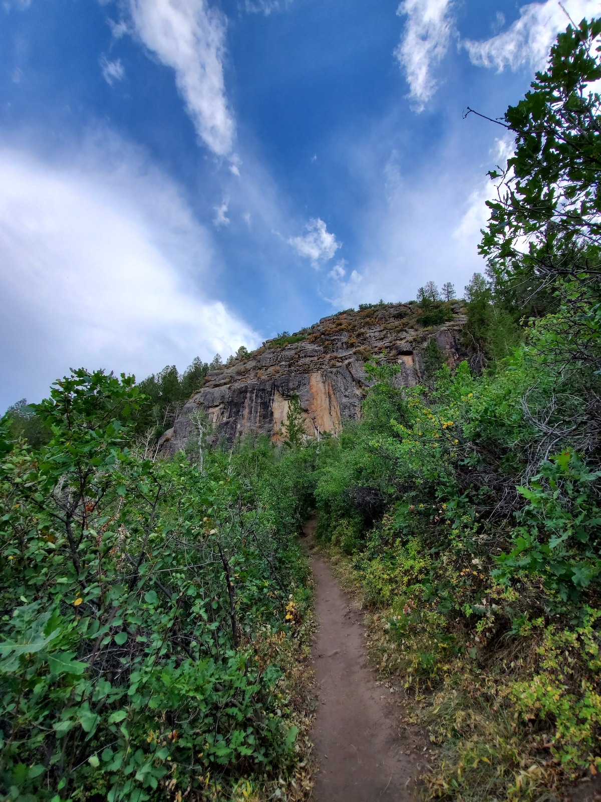 Hiking along Oak Flat Loop Trail, Black Canyon of the Gunnison National Park