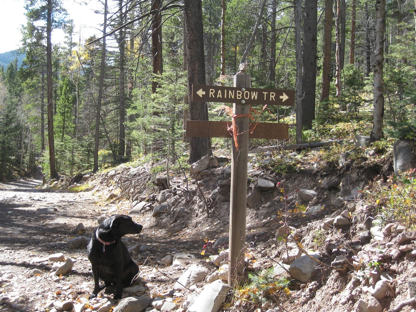 Rainbow Trail Sign Westcliffe CO