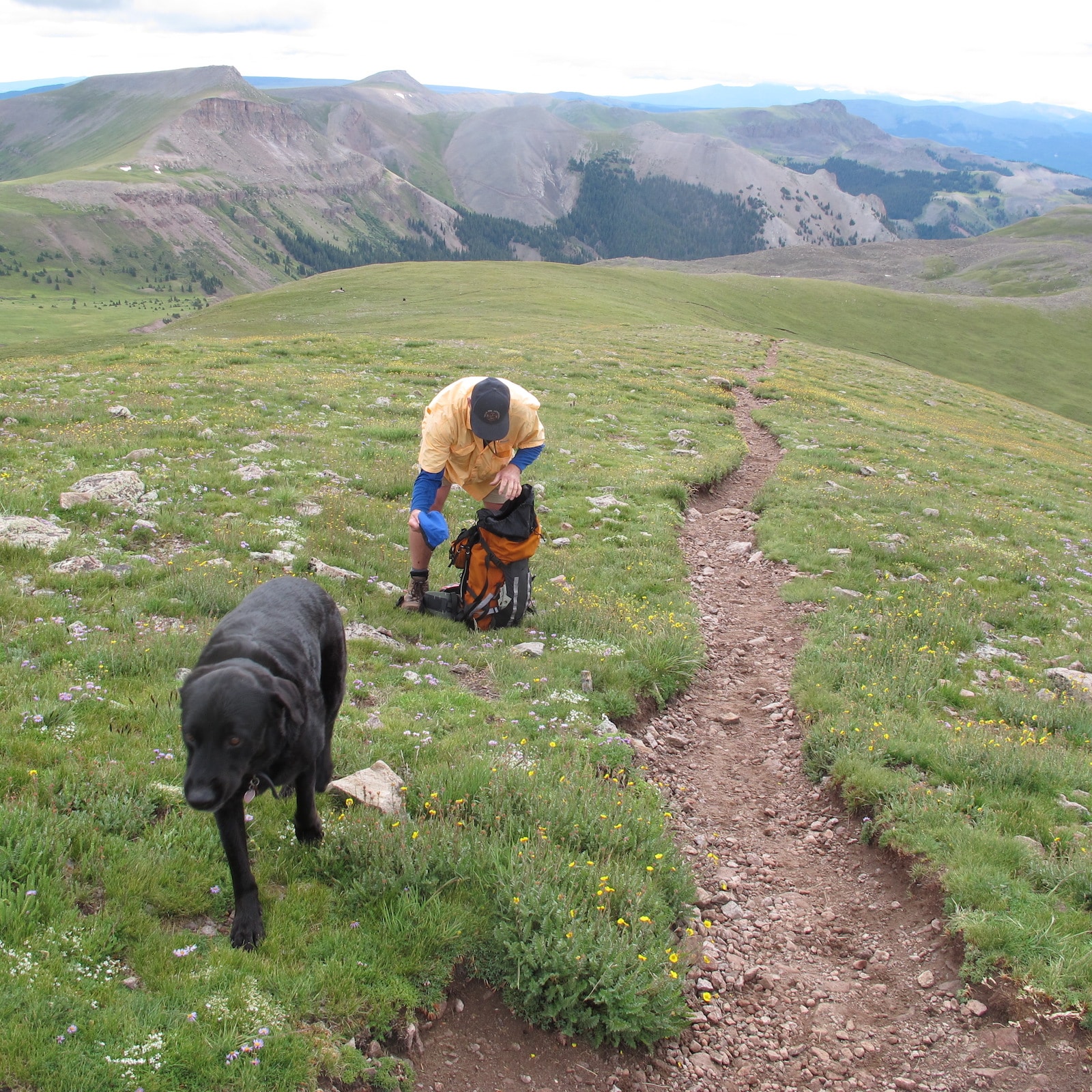 Hiking Trail Uncompahgre Peak Colorado