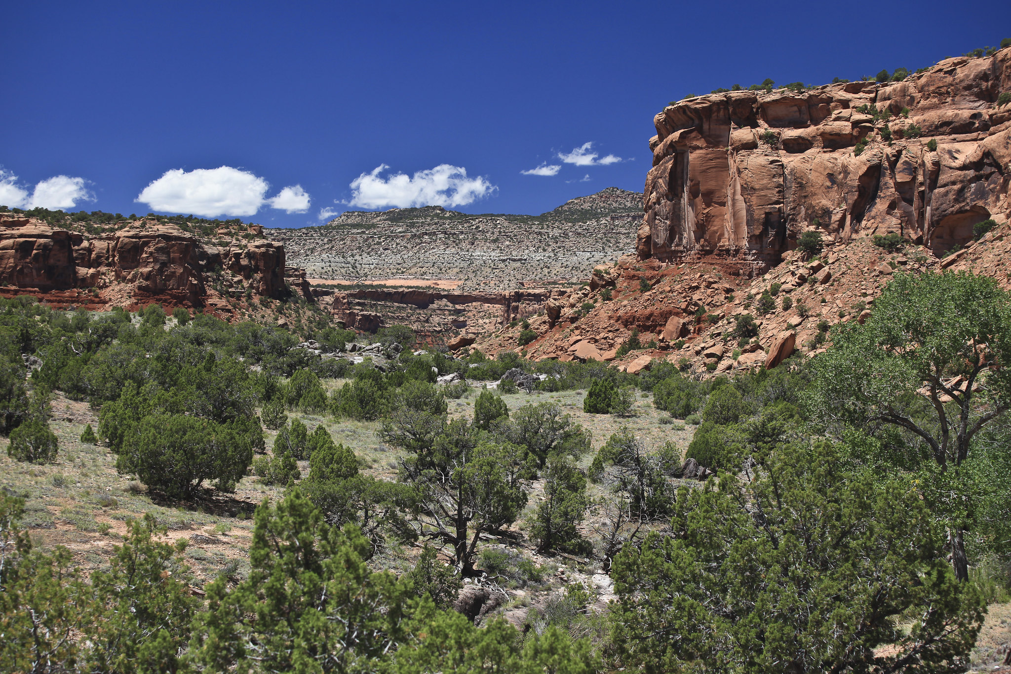 image of dominguez canyons