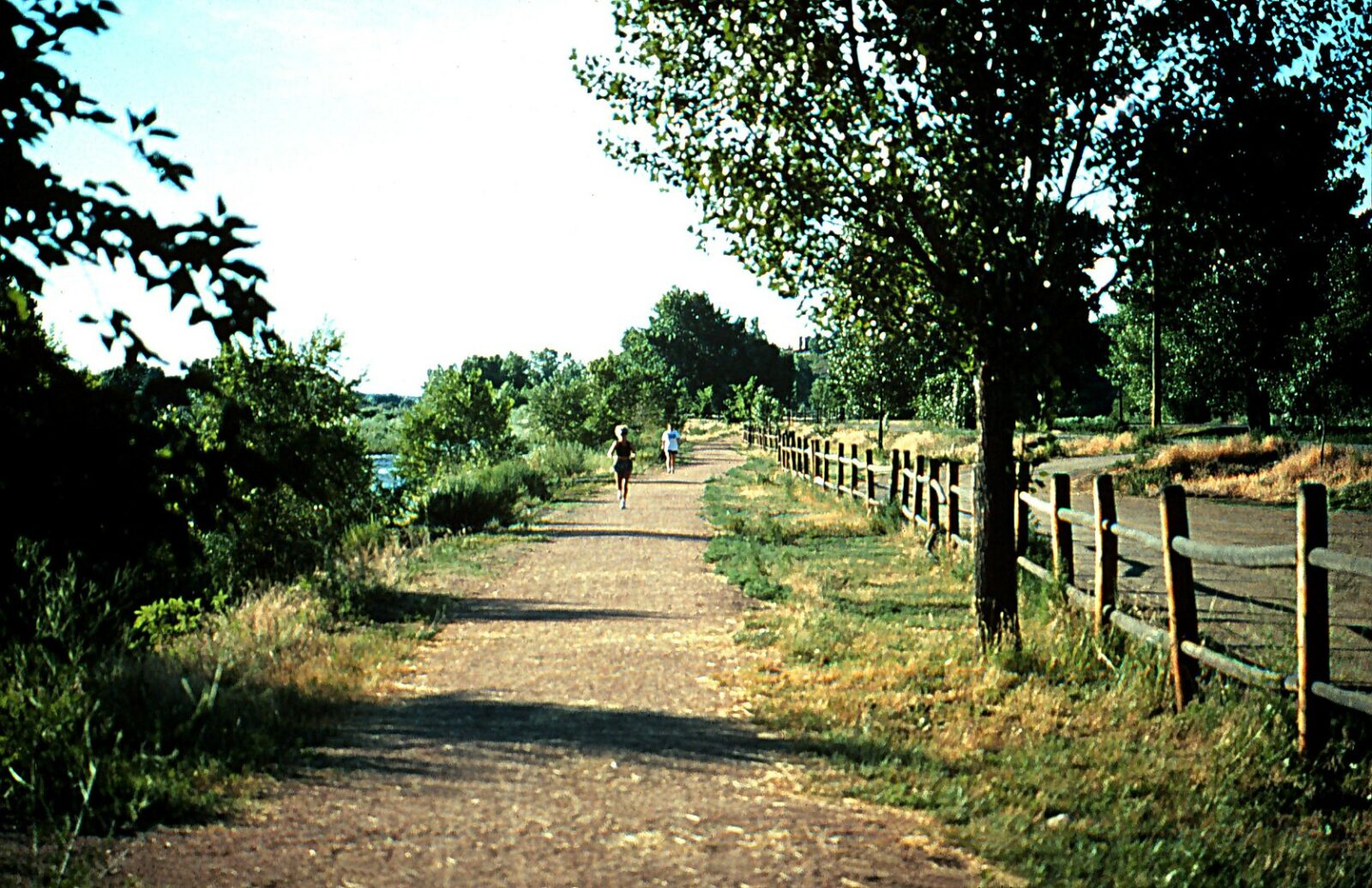 Image of runners at the John Griffin Regional Park in Canon City, Colorado