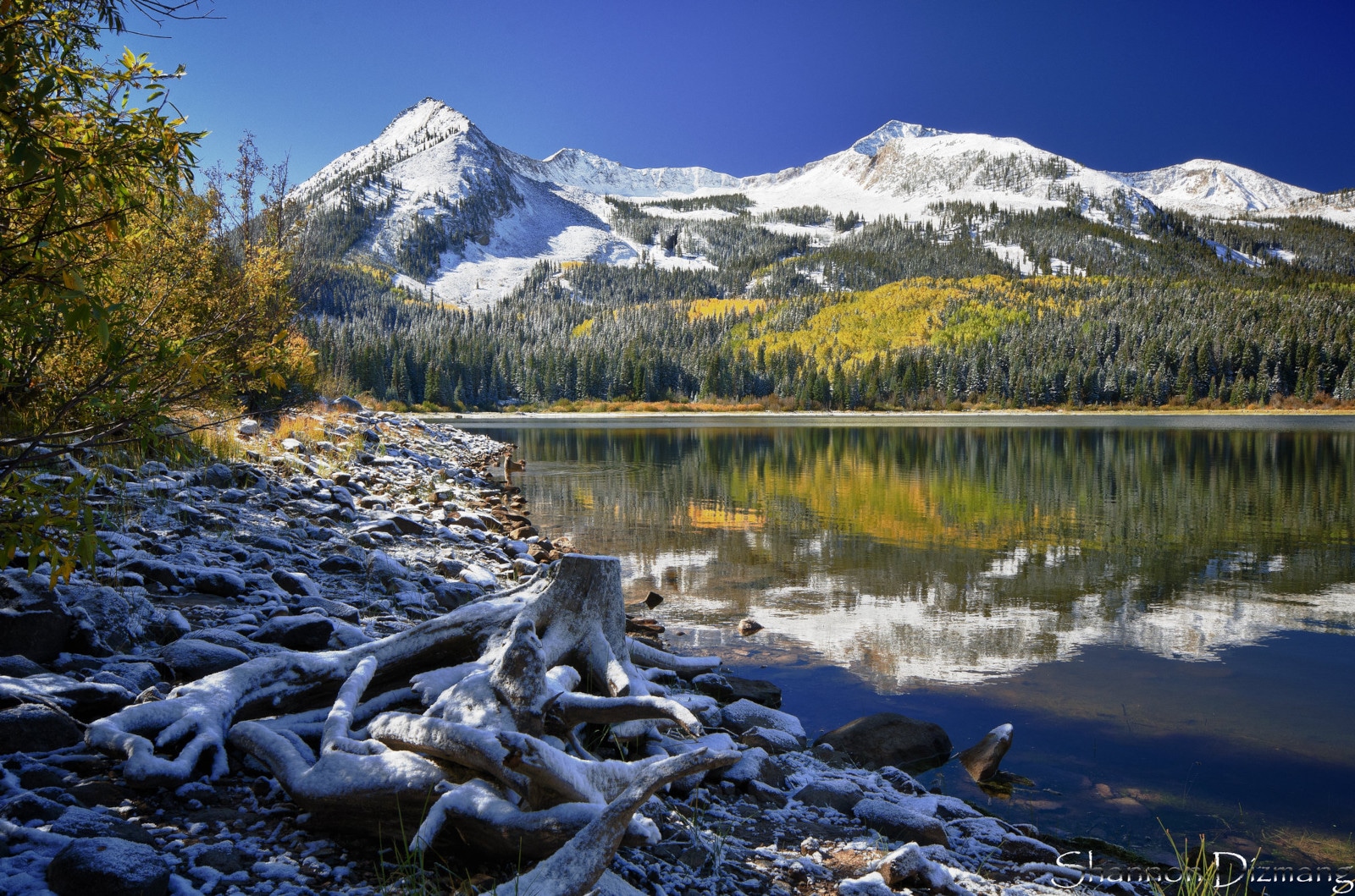 Image of Lost Lake Slough at the Lost Lake Campground in Paonia, Colorado
