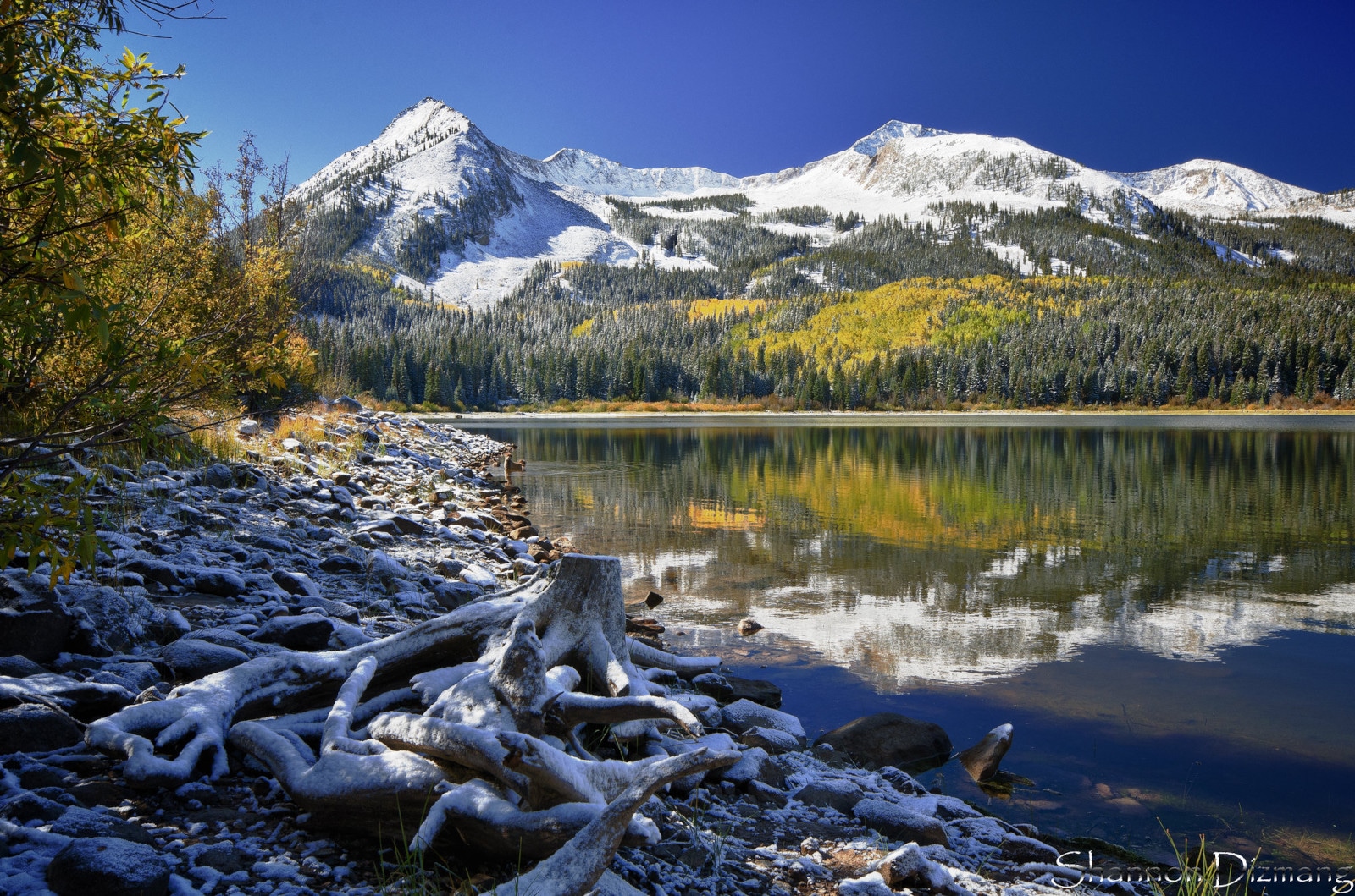 Image of Lost Lake Slough at the Lost Lake Campground in Paonia, Colorado