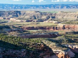 McInnis Canyon National Conservation Area Colorado