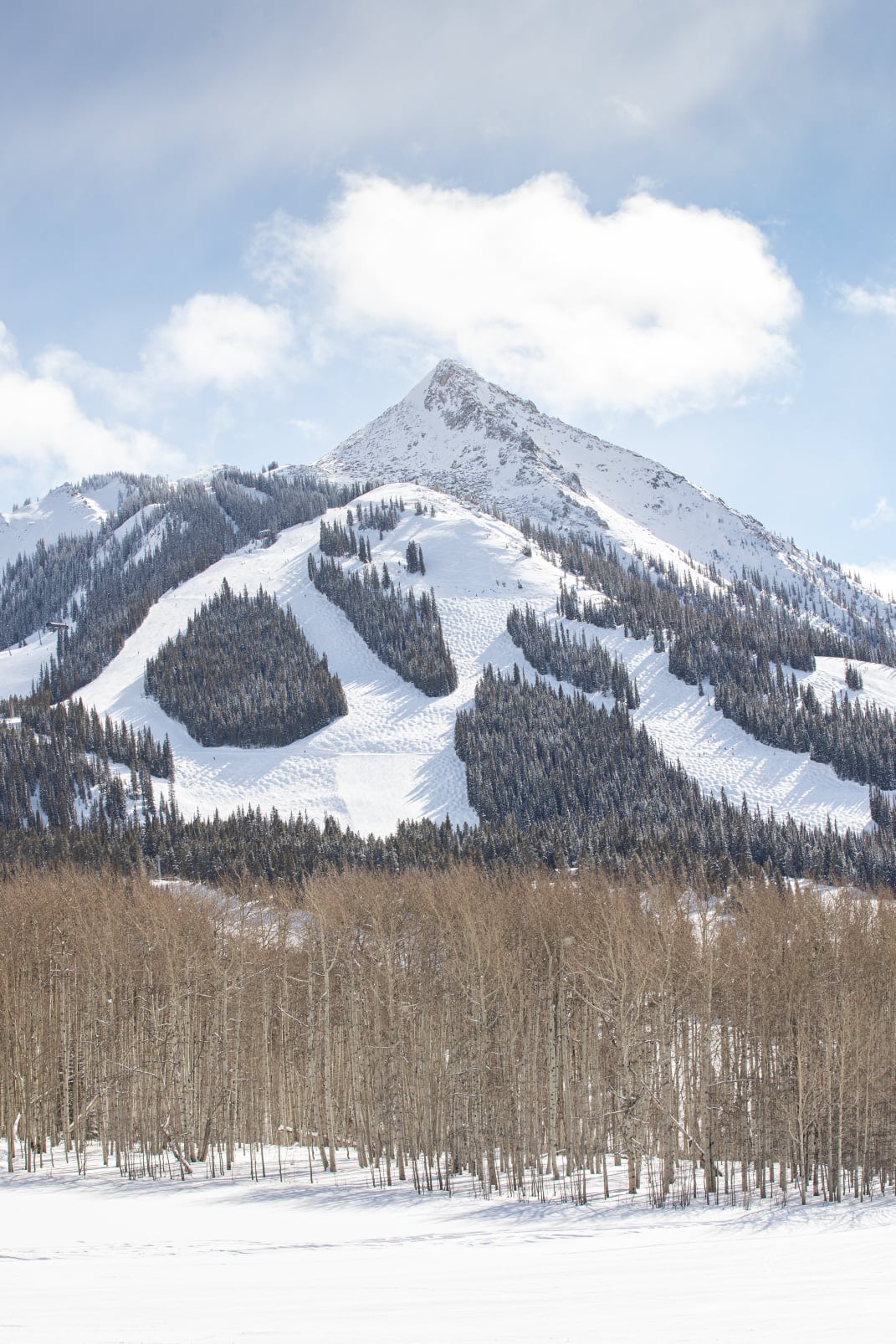 image of mount crested butte