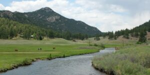 North Fork of the South Platte River Near Buffalo Creek, Colorado