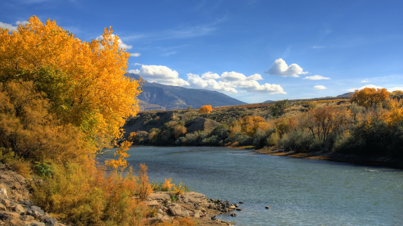 Palisade Colorado River Autumn Colors