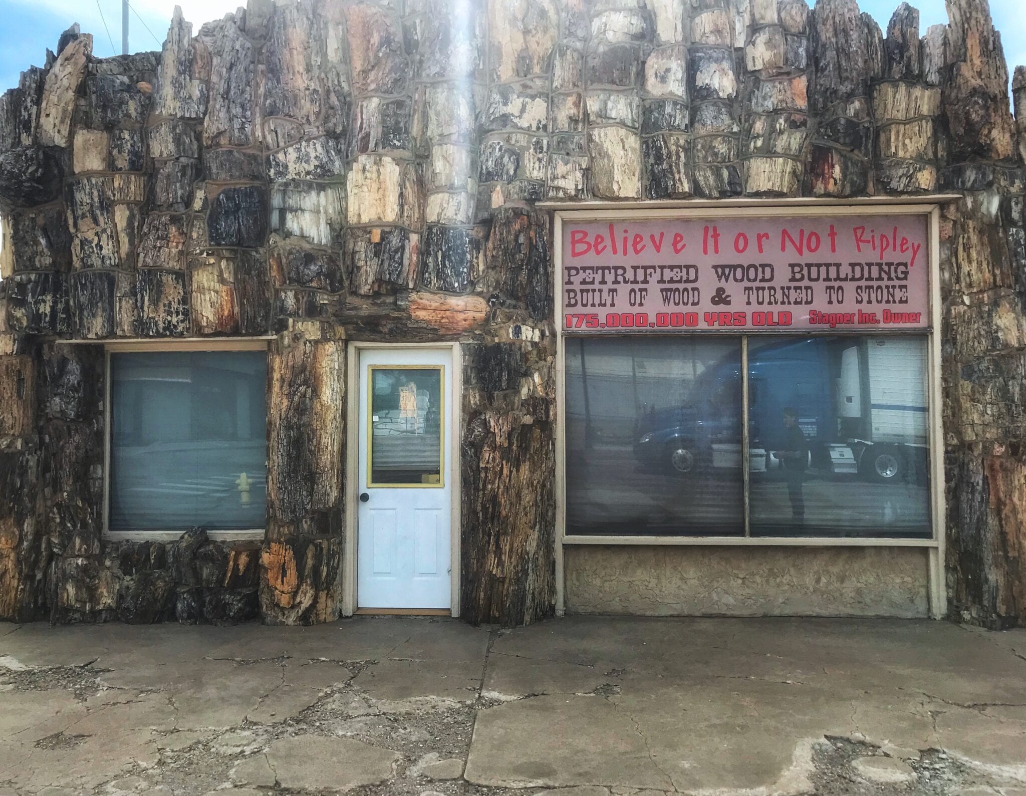 image of petrified wood building