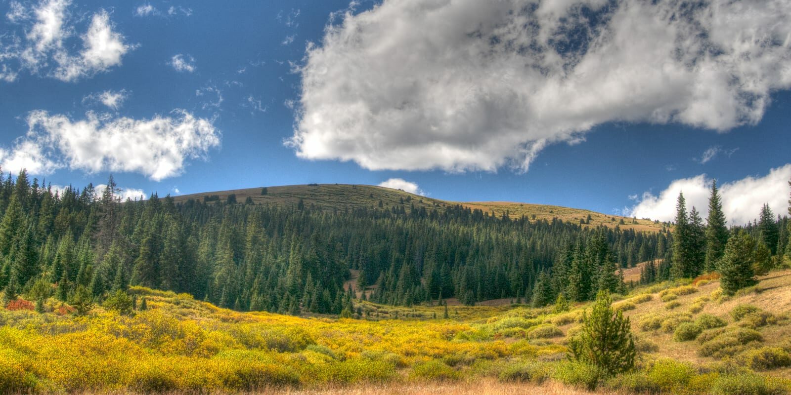 Rich Creek Trail Upper Section Fairplay CO Fall Colors