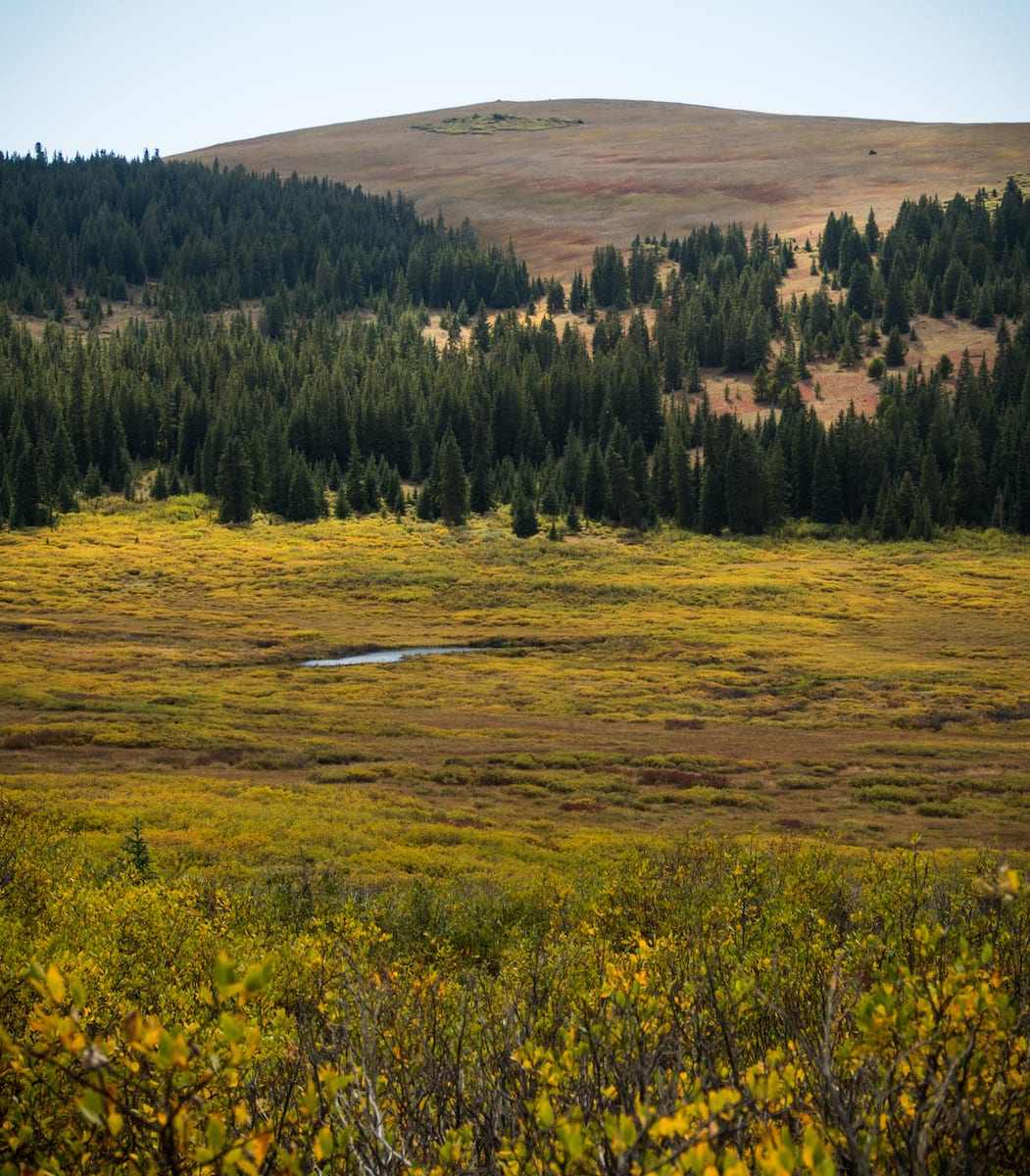 Rich Creek Trail Upper Section Colorado