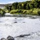 Rio Grande River Fishing Del Norte CO