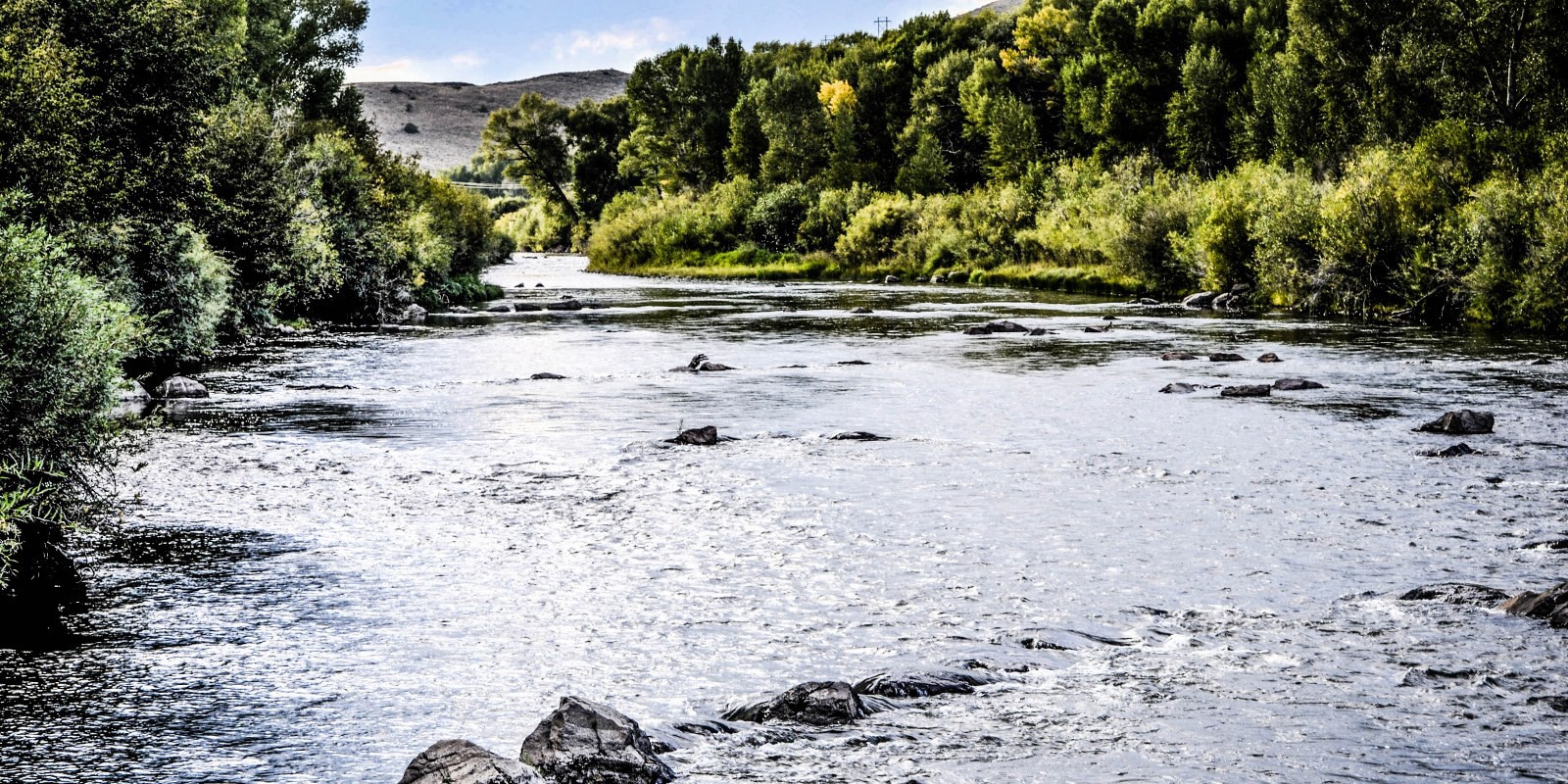 Rio Grande River Fishing Del Norte CO