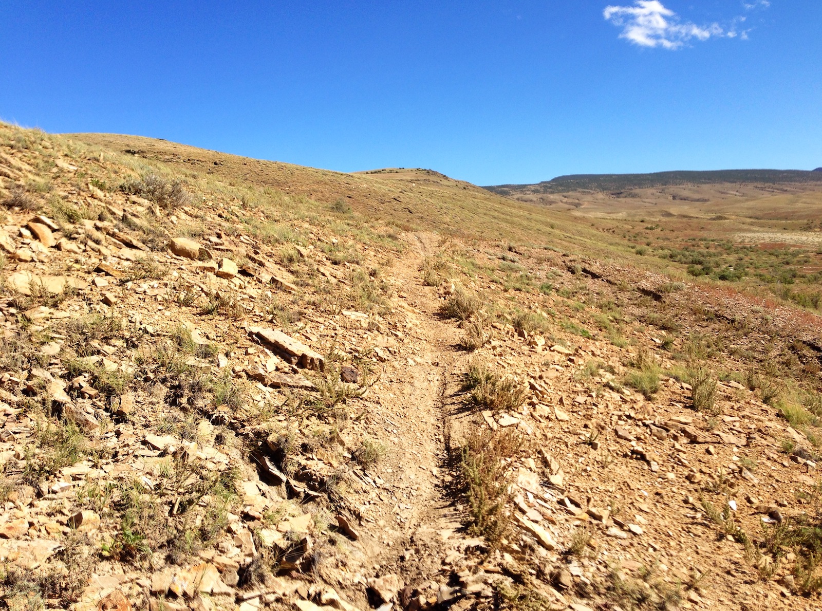 Sidewinder Trail Delta Colorado