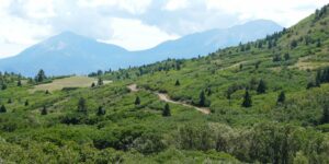 Spanish Peaks Hiking La Veta CO