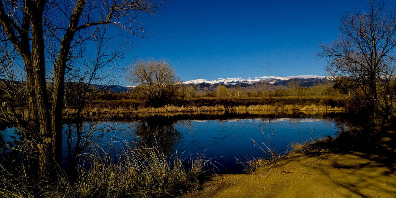 Image of the Walden Ponds Wildlife Habitat in Boulder, Colorado