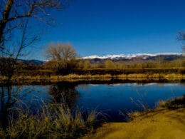 Image of the Walden Ponds Wildlife Habitat in Boulder, Colorado