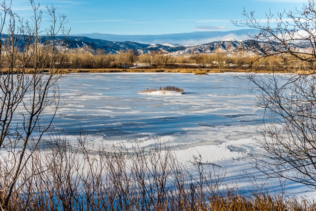 Image of the Walden Ponds Wildlife Habitat in Boulder, Colorado during winter