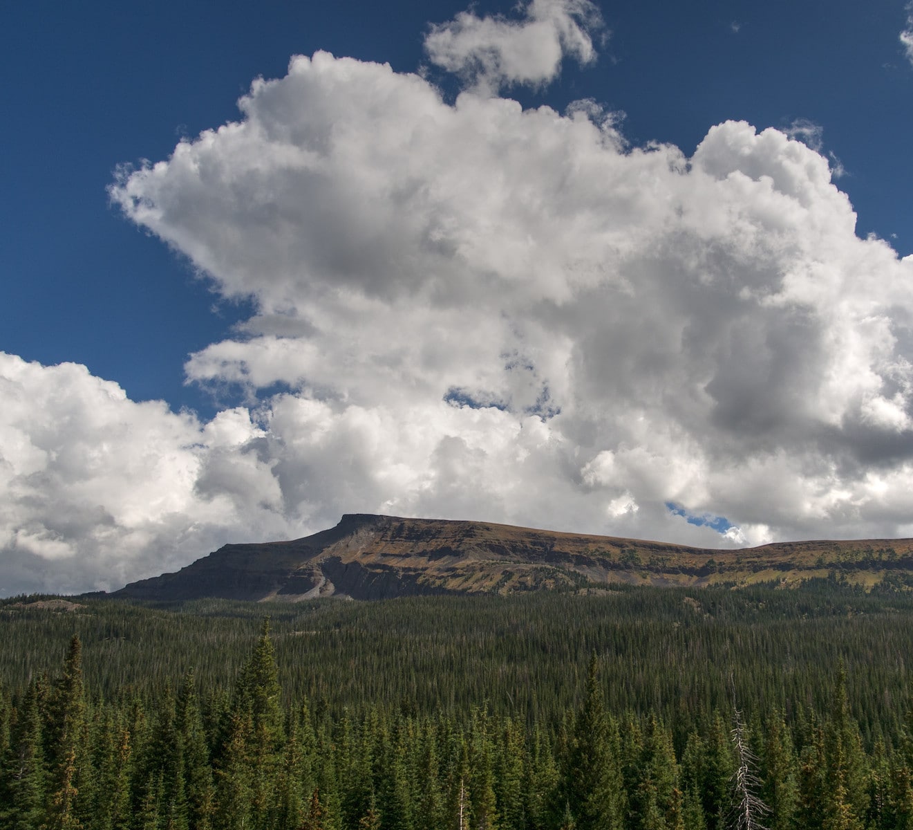 Image of the Flat Top Wilderness from Stillwater Reservoir