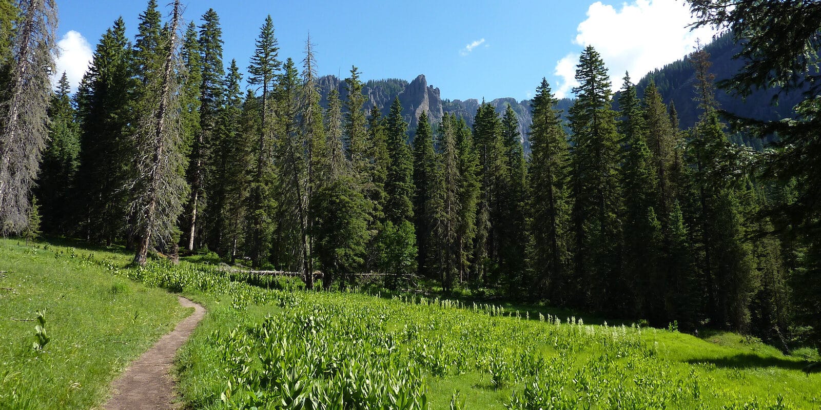 Eagle Mountain from Fourmile Falls Trail Colorado