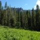 Eagle Mountain from Fourmile Falls Trail Colorado