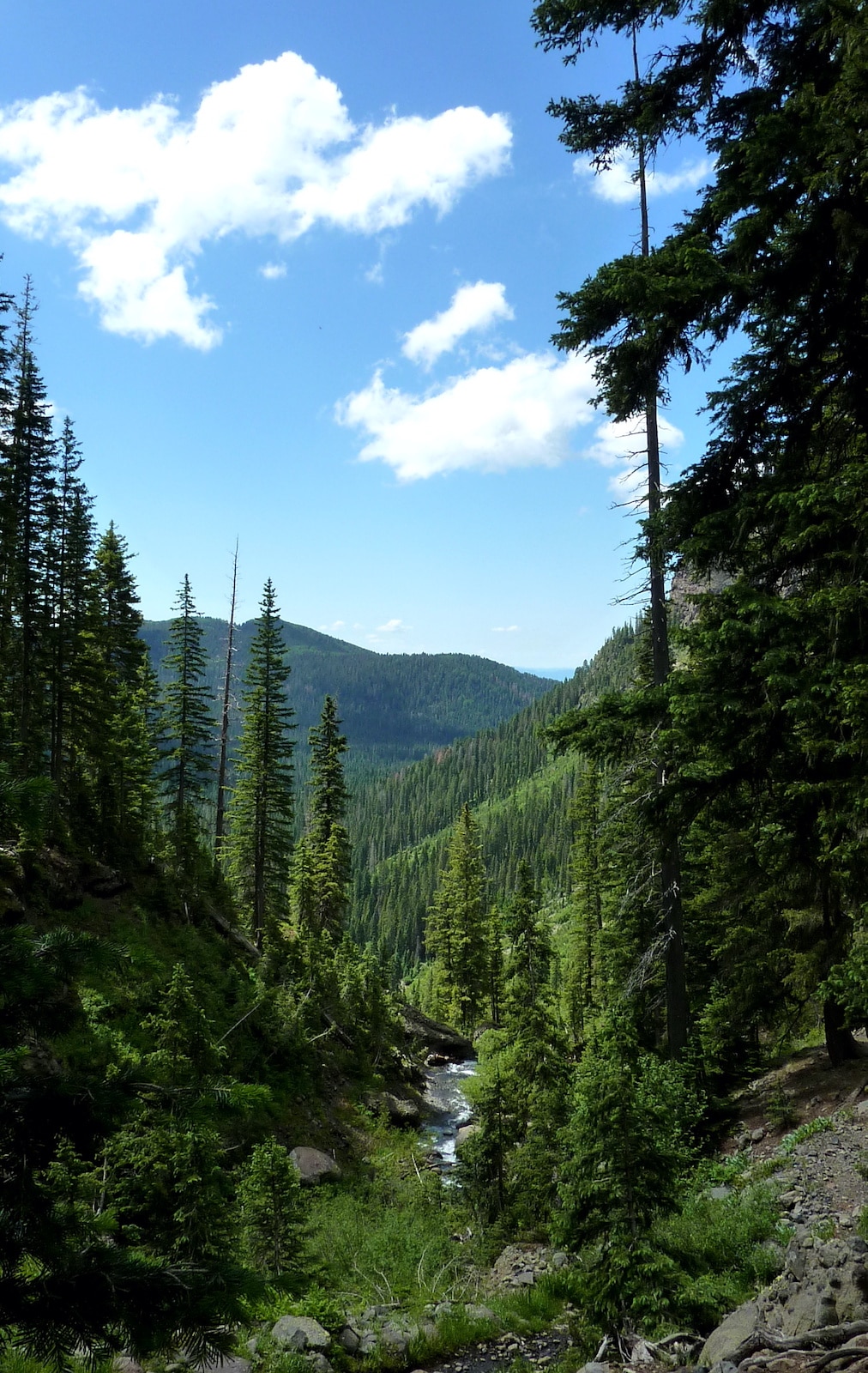 View from Fourmile Trail Above the Upper Falls Colorado