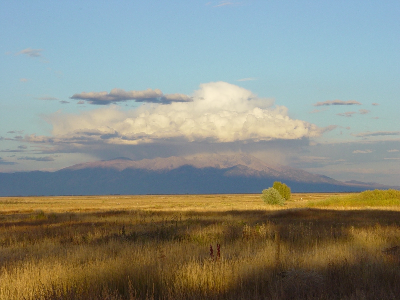 Monte Vista Wildlife Refuge Sangre de Cristo Mountains