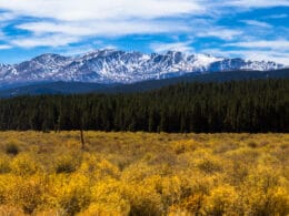 Mount Massive, Colorado