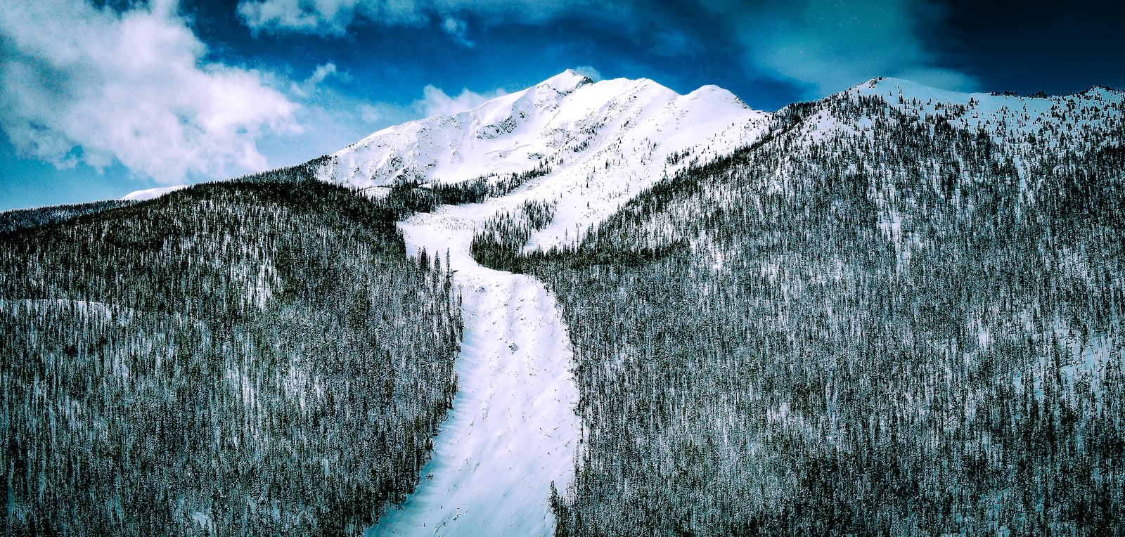 Avalanche Path Frisco Colorado Peak One