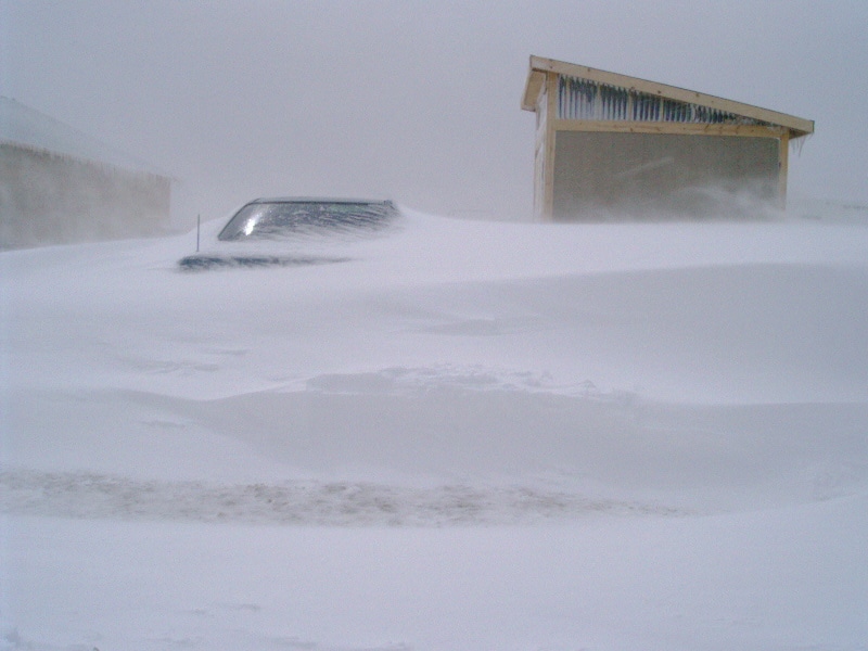 Blizzard Evergreen Colorado 2003