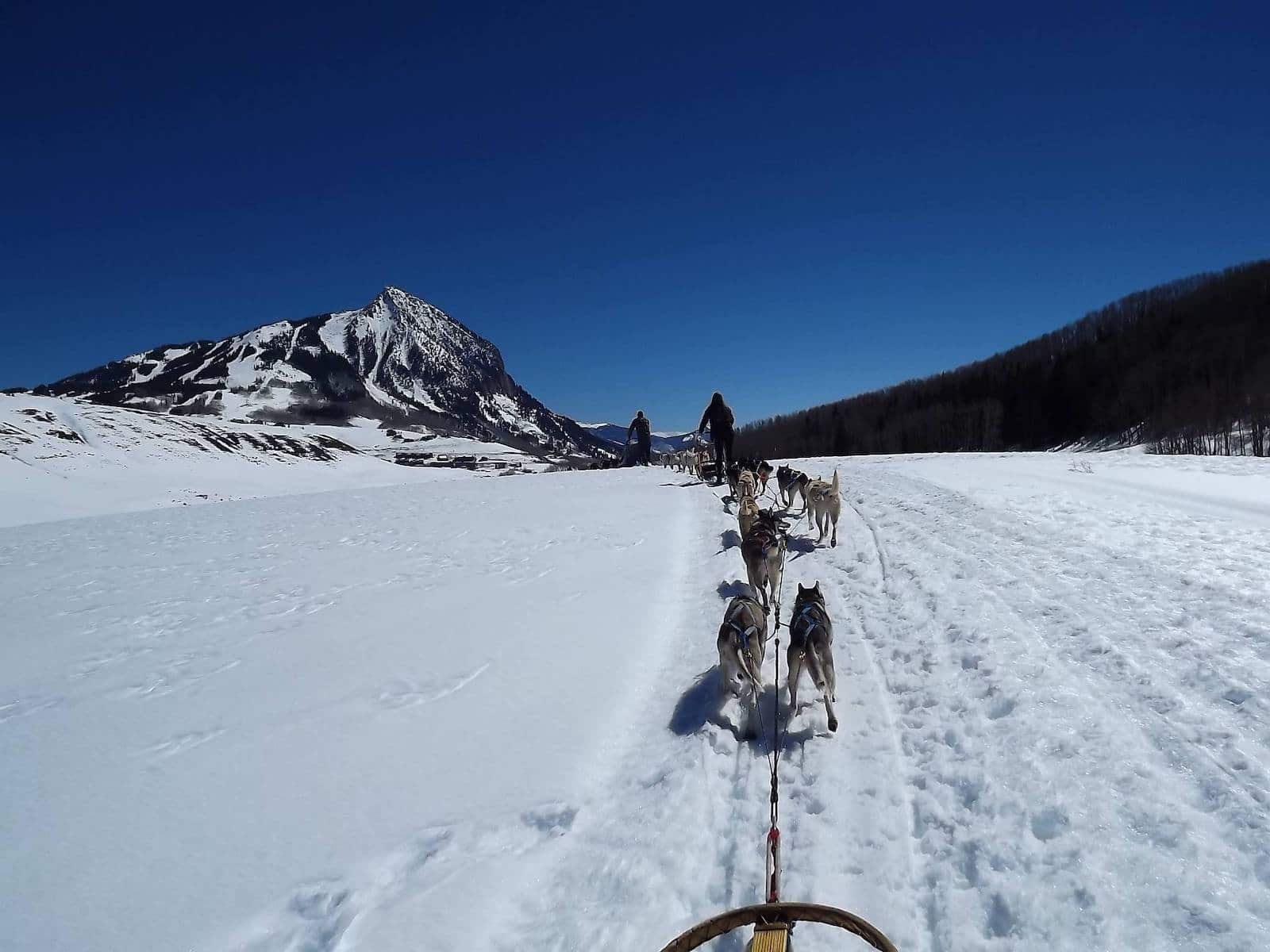 Image of a cosmic cruiser dog sled in Gunnison, Colorado