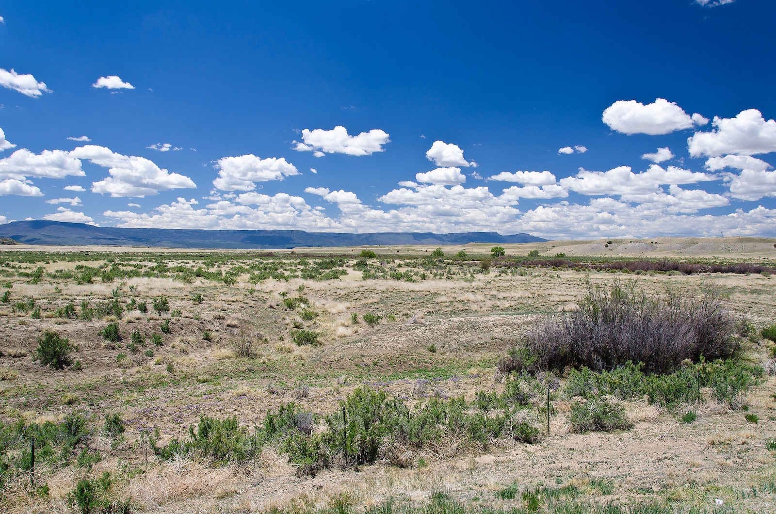 Image of the other side of fishers peak in Trinidad, Colorado