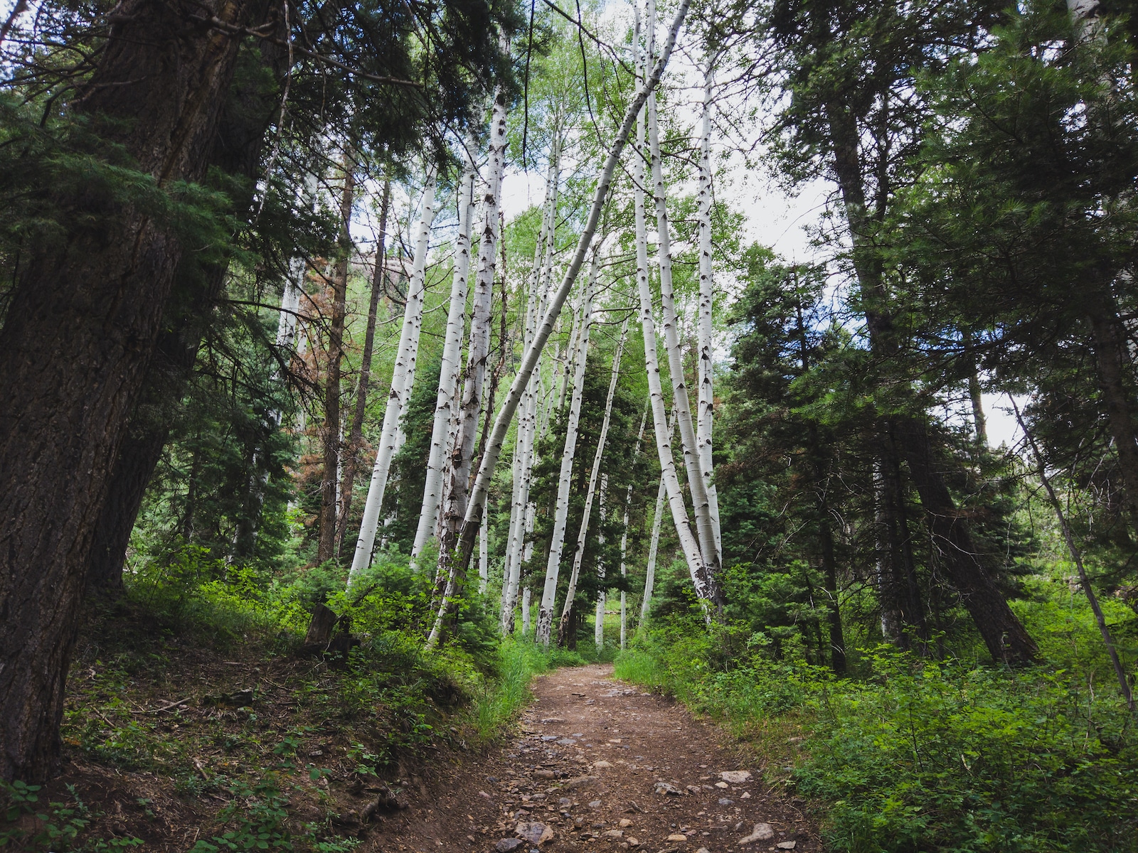 Ouray Perimeter Trail