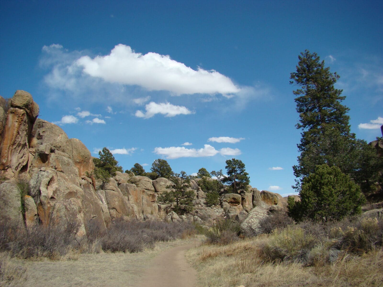 Top Things To Do in Alamosa, Colorado Uncover Colorado