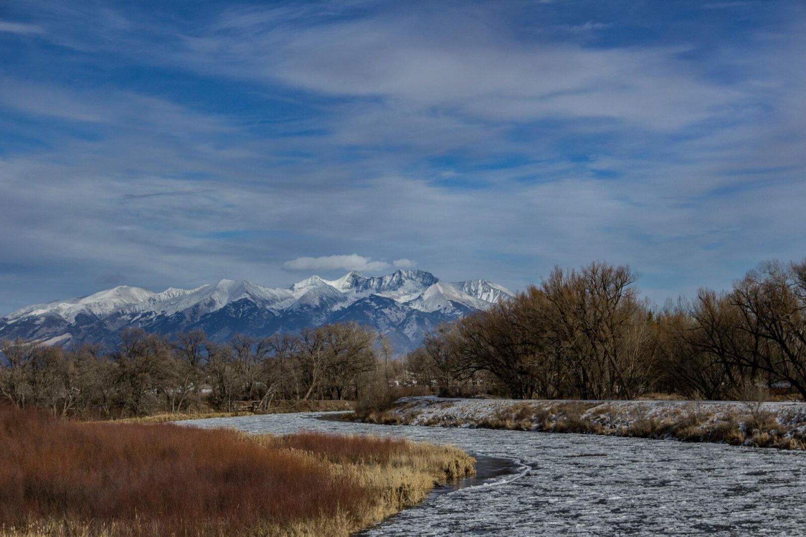Alamosa Co