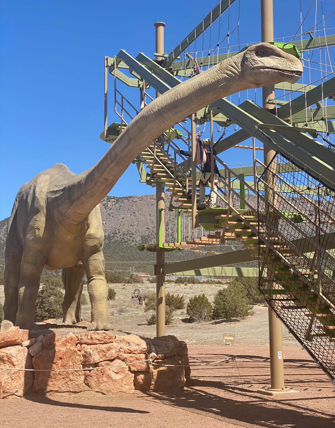 Image of the ropes course at Royal Gorge Dinosaur Experience