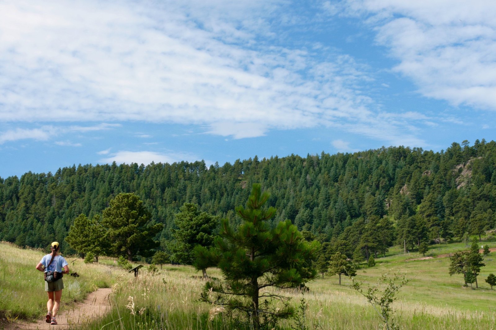 Image of a runner at White Ranch Park in Golden, Colorado