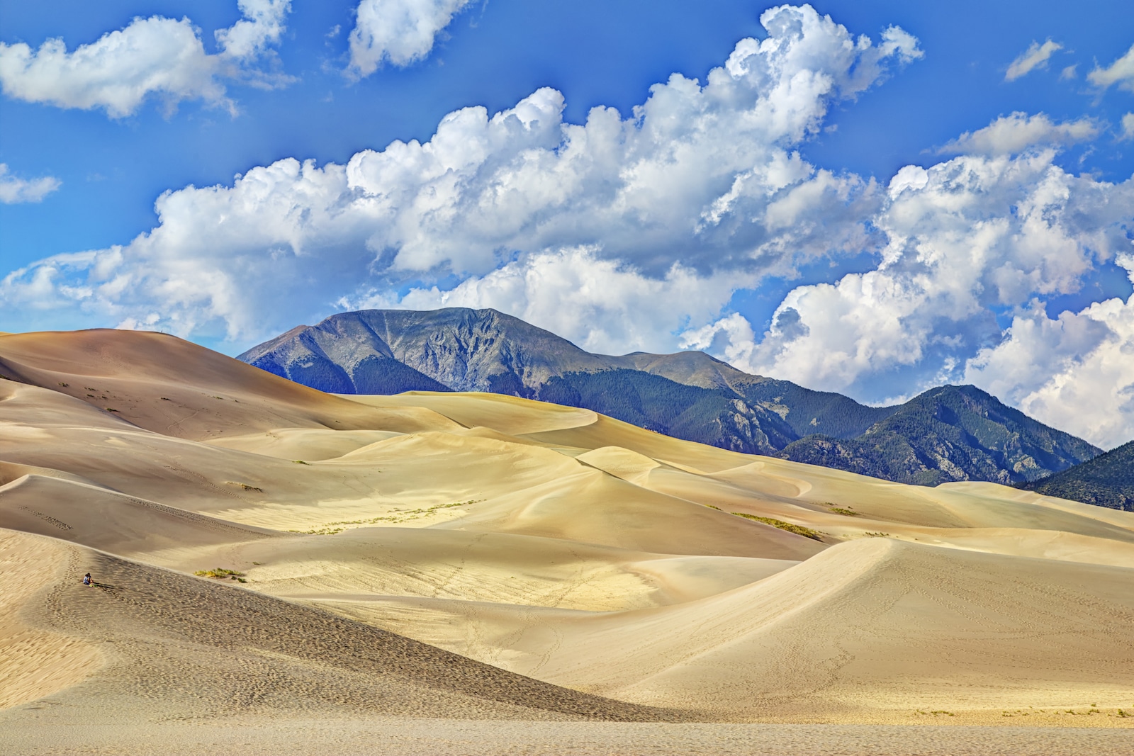 Great Sand Dunes National Park, CO