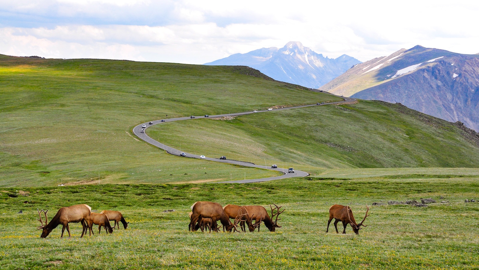 Trail Ridge Road, CO