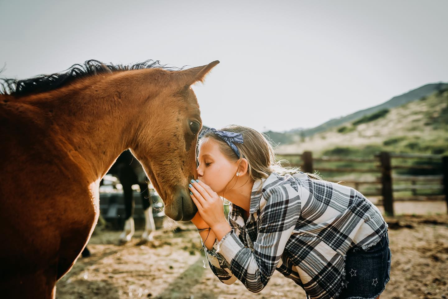 Image of a child kissing a baby horse at Cherokee Park Ranch in Livermore, CO