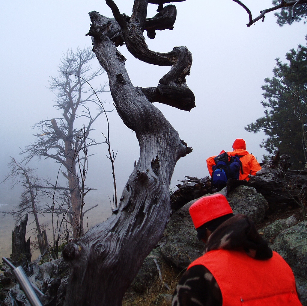 Two hunters wearing orange in Mount Evans Wilderness